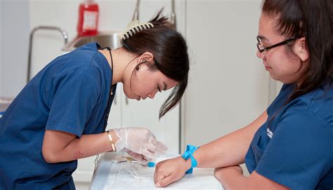 Phlebotomy specialist - Feb 10, 2024 · The estimated total pay for a Phlebotomist Specialist is $45,471 per year in the United States area, with an average salary of $42,632 per year. These numbers represent the median, which is the midpoint of the ranges from our proprietary Total Pay Estimate model and based on salaries collected from our users. 